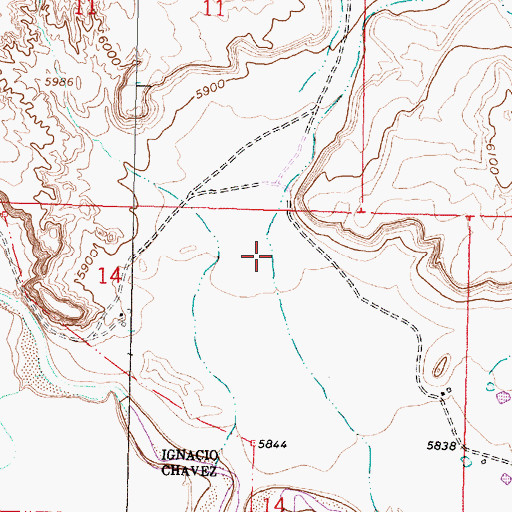 Topographic Map of Caon de Camino, NM