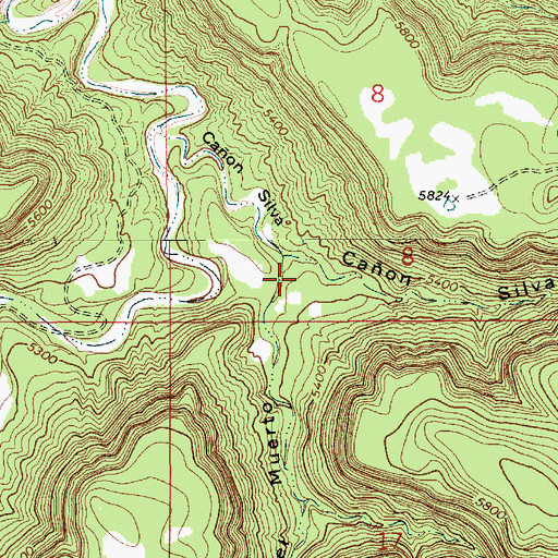Topographic Map of Caon del Muerto, NM