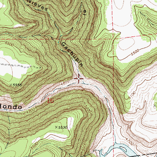 Topographic Map of Caon el Gachupin, NM