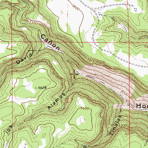 Topographic Map of Caon los Alamos, NM