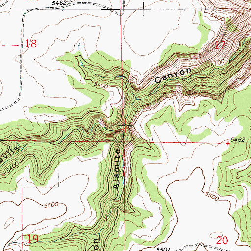 Topographic Map of Caon Alamito, NM