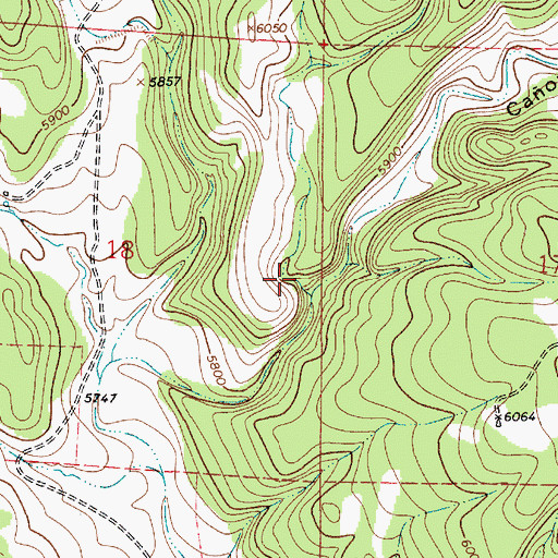 Topographic Map of Caon Alamito, NM
