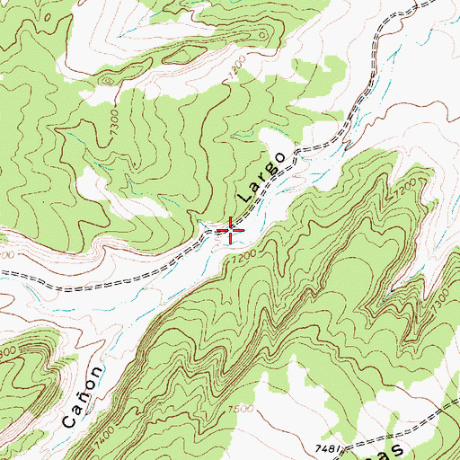 Topographic Map of Caon Ancho, NM