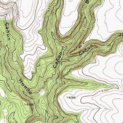 Topographic Map of Caon Burro, NM