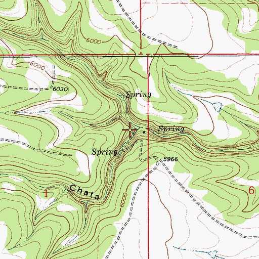 Topographic Map of Caon Chata, NM