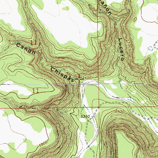 Topographic Map of Canon Chispas, NM