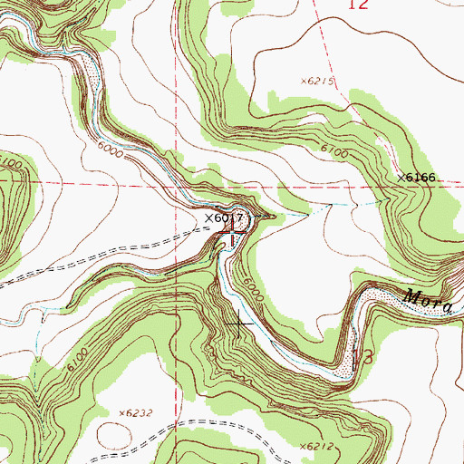 Topographic Map of Caon Cibolo, NM