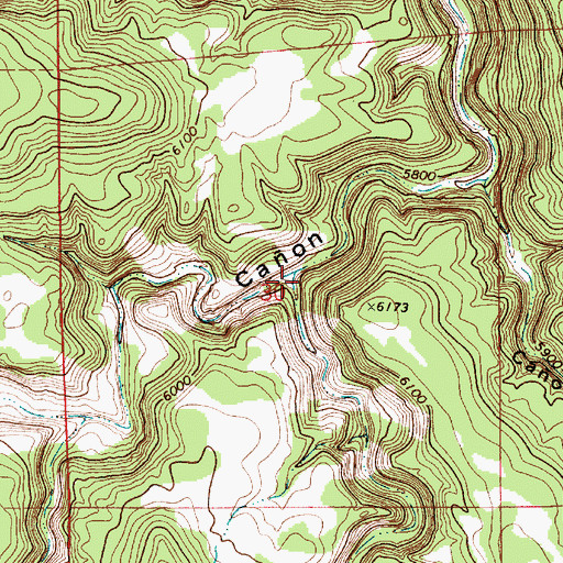 Topographic Map of Caon Cuevas, NM