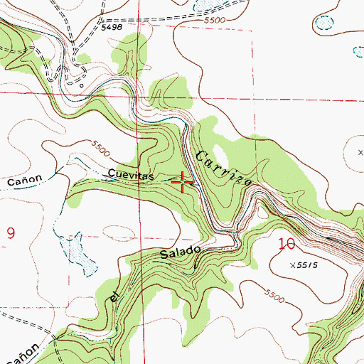 Topographic Map of Caon Cuevitas, NM