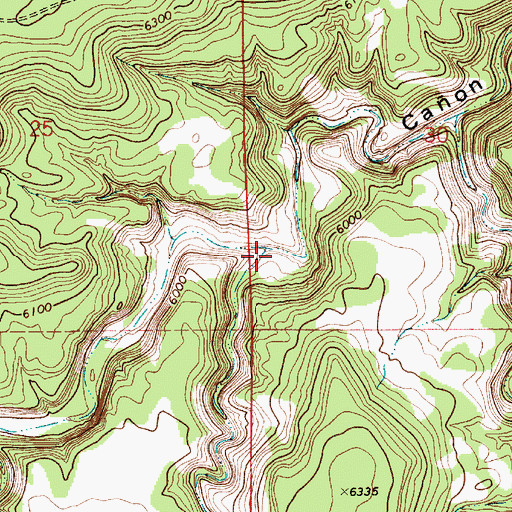 Topographic Map of Caon Escovas, NM