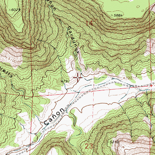 Topographic Map of Caon Gardunos, NM