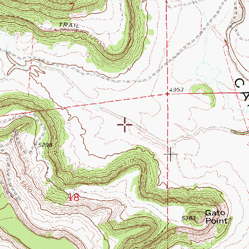 Topographic Map of Caon Gato, NM
