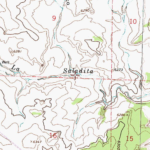 Topographic Map of Caon Ignacio Rico, NM