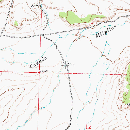 Topographic Map of Caon Largo, NM
