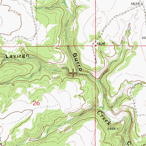 Topographic Map of Caon Lavirgn, NM