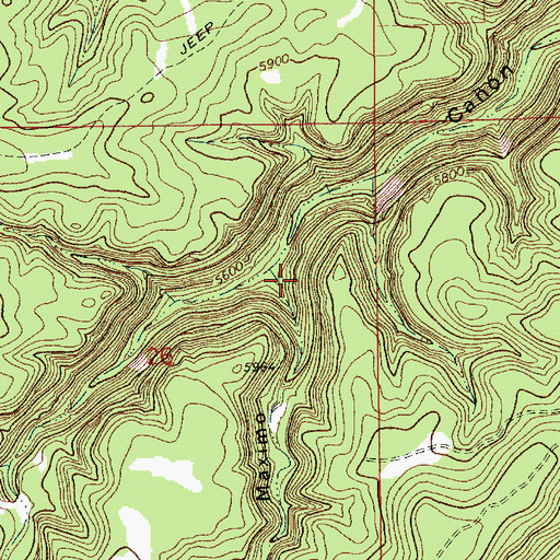 Topographic Map of Caon Maximo, NM