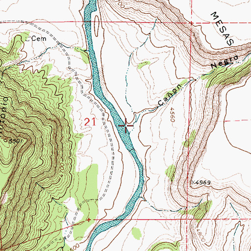 Topographic Map of Caon Negro, NM