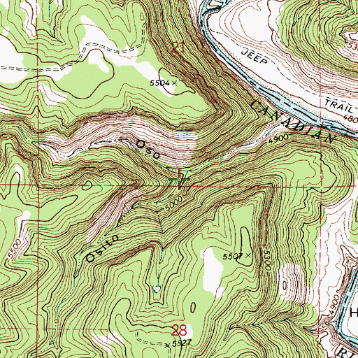 Topographic Map of Caon Osito, NM