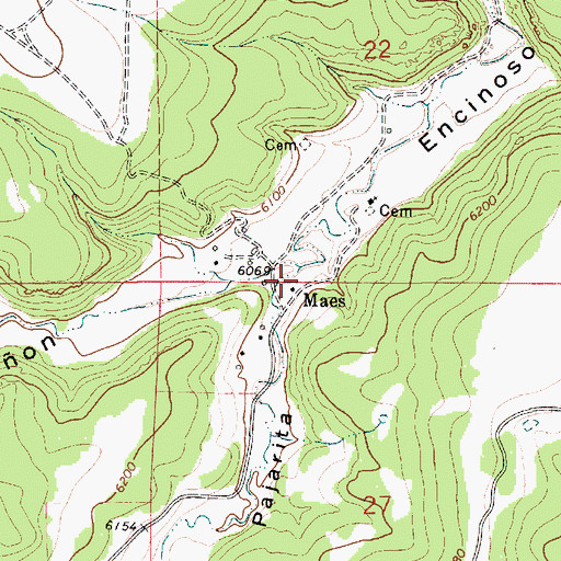 Topographic Map of Caon Pajarita, NM