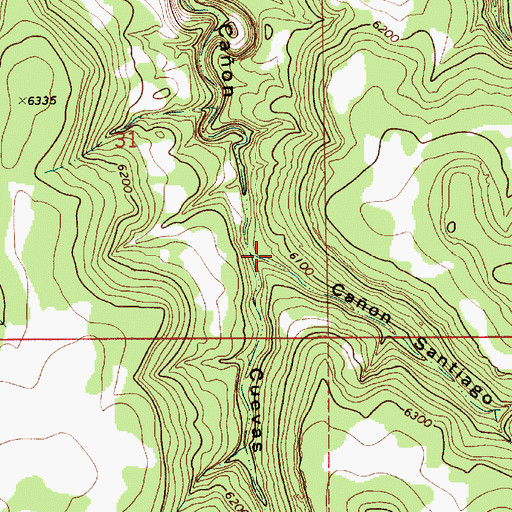 Topographic Map of Caon Santiago, NM