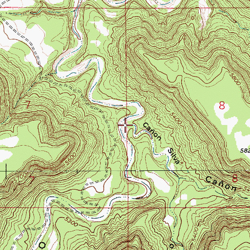 Topographic Map of Caon Silva, NM