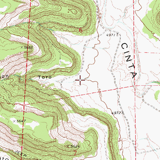 Topographic Map of Caon Toro, NM