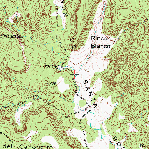 Topographic Map of Caoncito de la Primallas, NM