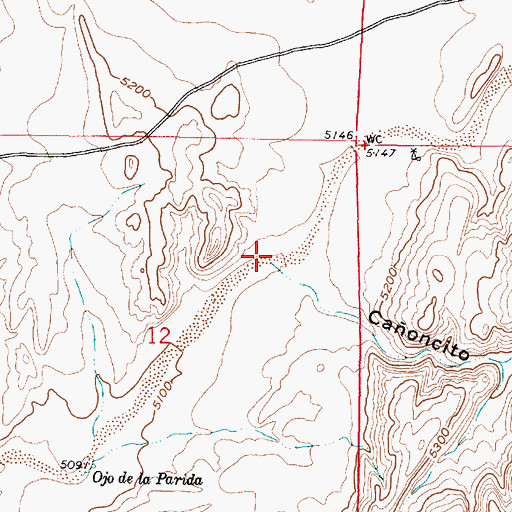 Topographic Map of Caoncito Colorado, NM