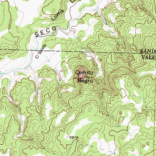 Topographic Map of Cerrito Negro, NM