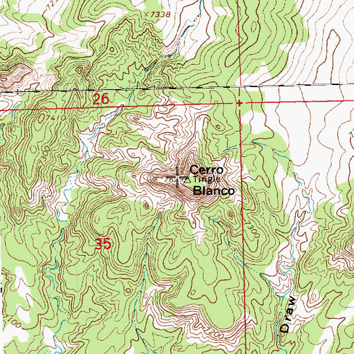 Topographic Map of Cerro Blanco, NM