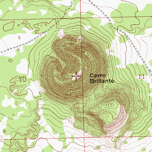 Topographic Map of Cerro Brillante, NM