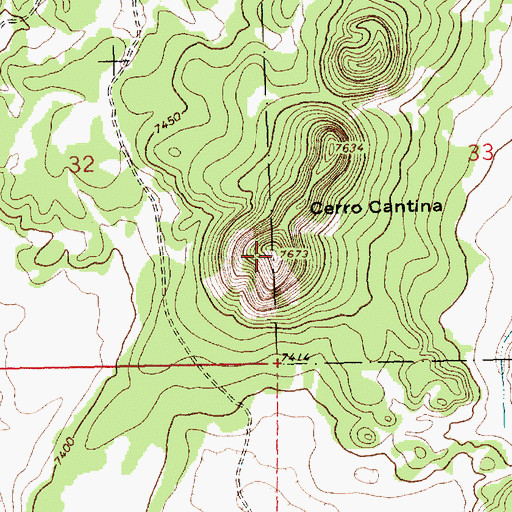 Topographic Map of Cerro Cantina, NM