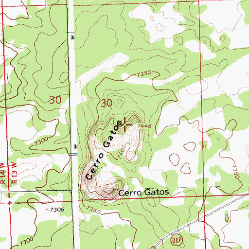 Topographic Map of Cerro Gatos, NM