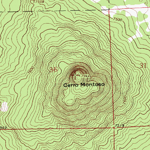 Topographic Map of Cerro Montoso, NM