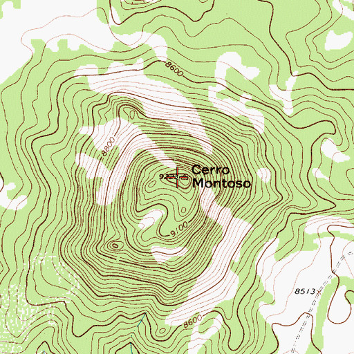 Topographic Map of Cerro Montoso, NM