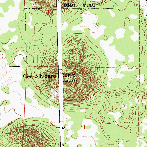 Topographic Map of Cerro Negro, NM