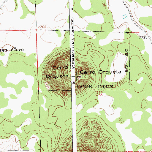 Topographic Map of Cerro Orqueta, NM