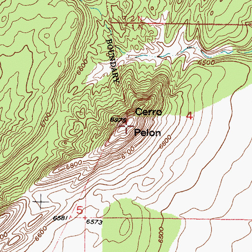 Topographic Map of Cerro Pelon, NM