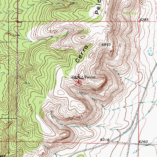 Topographic Map of Cerro Pelon, NM