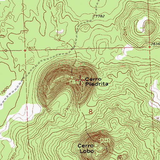 Topographic Map of Cerro Piedrita, NM