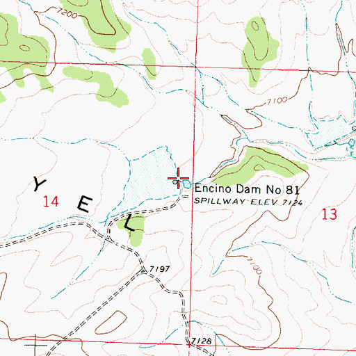 Topographic Map of Encino Dam Number 81, NM