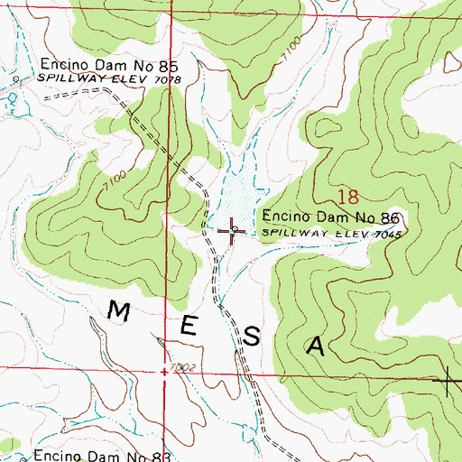 Topographic Map of Encino Dam Number 86, NM