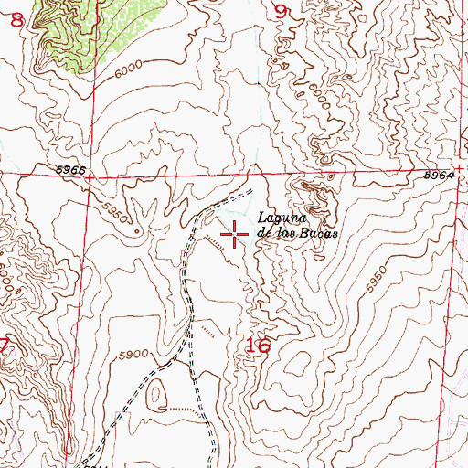 Topographic Map of Laguna de las Bacas, NM