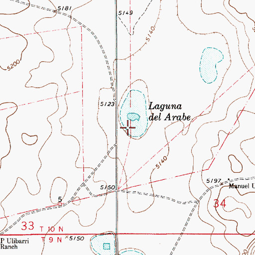 Topographic Map of Laguna del Arabe, NM