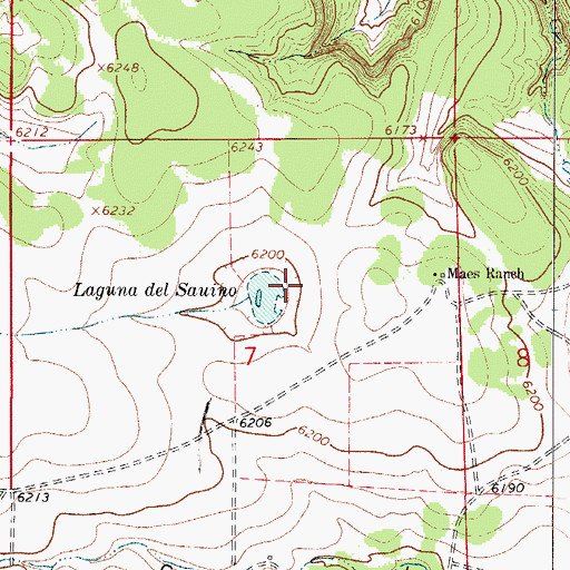Topographic Map of Laguna del Sauino, NM