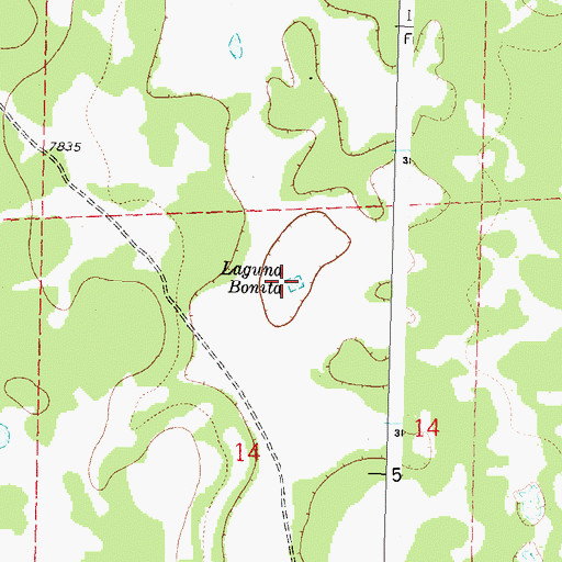 Topographic Map of Laguna Bonita, NM