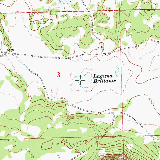 Topographic Map of Laguna Brillante, NM