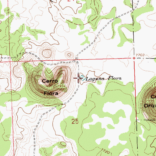 Topographic Map of Laguna Flora, NM