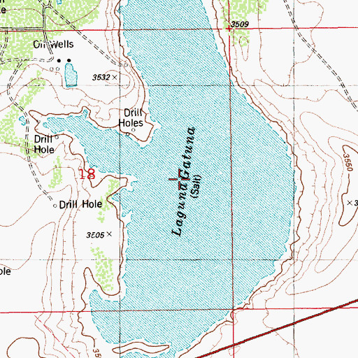 Topographic Map of Laguna Gatuna, NM