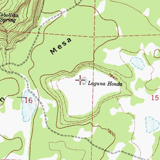 Topographic Map of Laguna Honda, NM